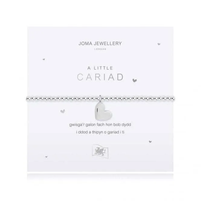 A Little Love Silver 17.5cm Stretch Bracelet 4019 Joma Jewellery