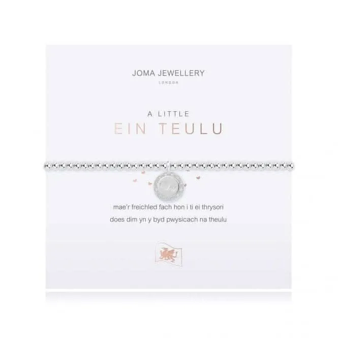 A Little Our Family Silver 17.5cm Stretch Bracelet 4015 Joma Jewellery