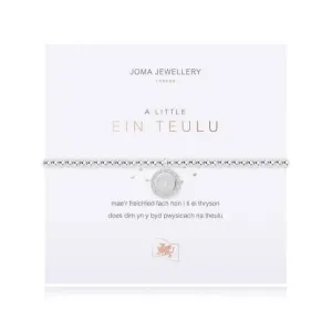 A Little Our Family Silver 17.5cm Stretch Bracelet 4015 Joma Jewellery
