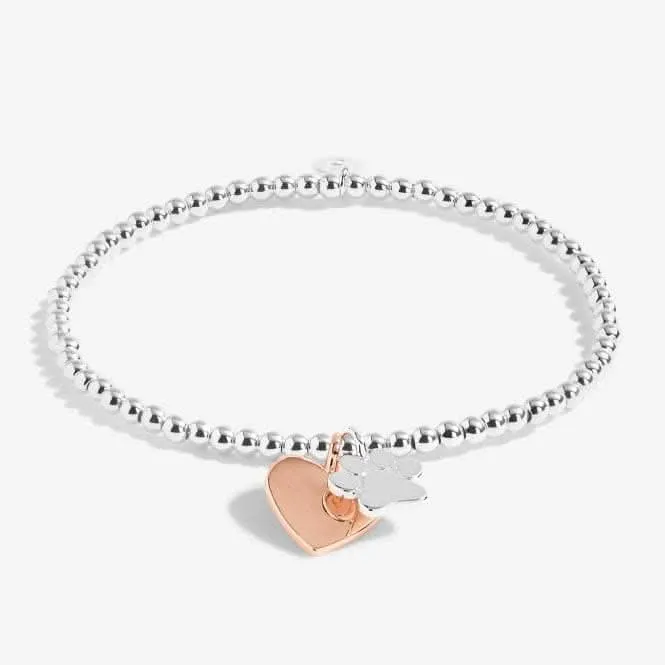 A Little Puppy Love Silver 17.5cm Stretch Bracelet 5230 Joma Jewellery