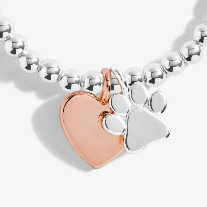 A Little Puppy Love Silver 17.5cm Stretch Bracelet 5230 Joma Jewellery