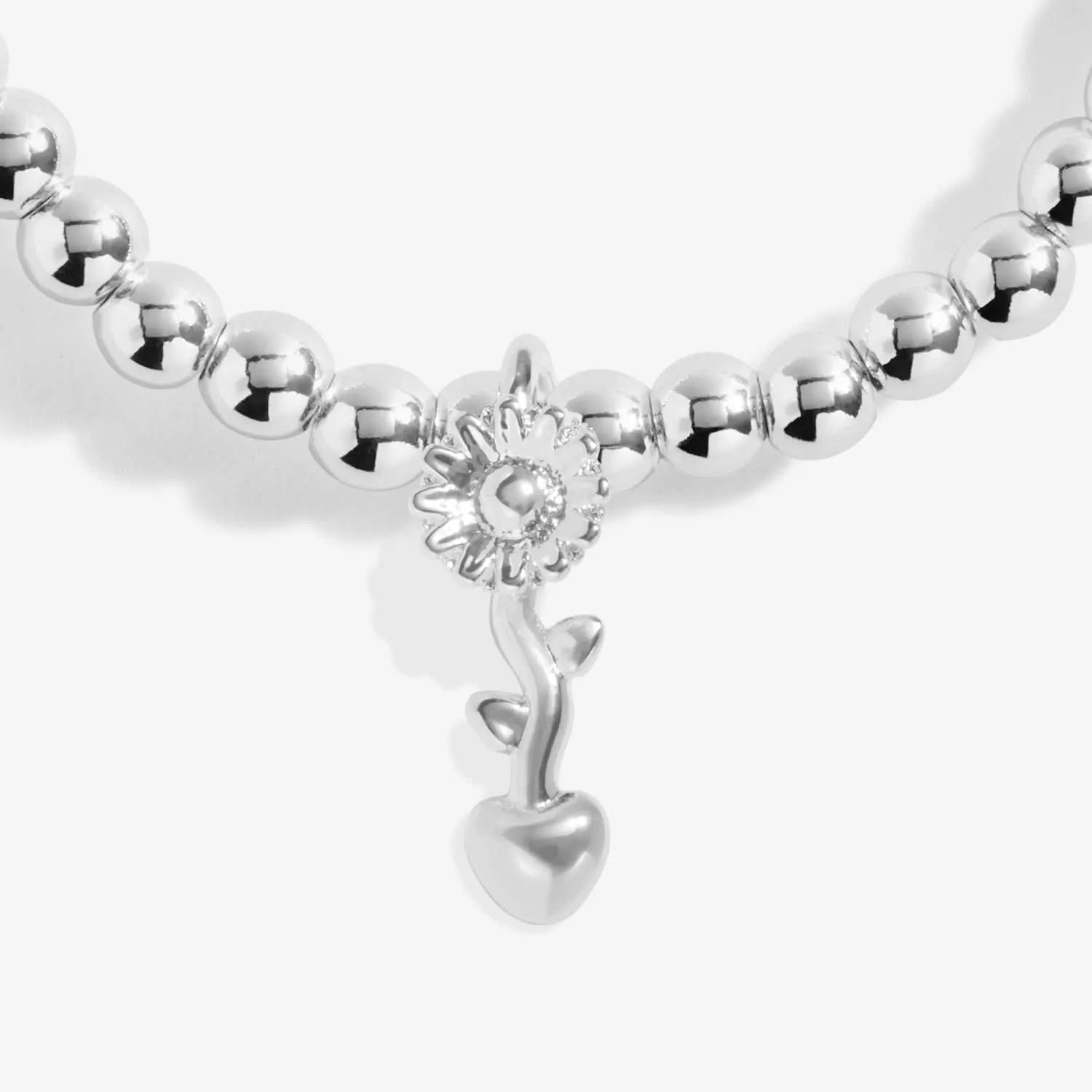 A Little Teachers Plant Seeds that Grow Forever Silver Plated Bracelet 8147 Joma Jewellery