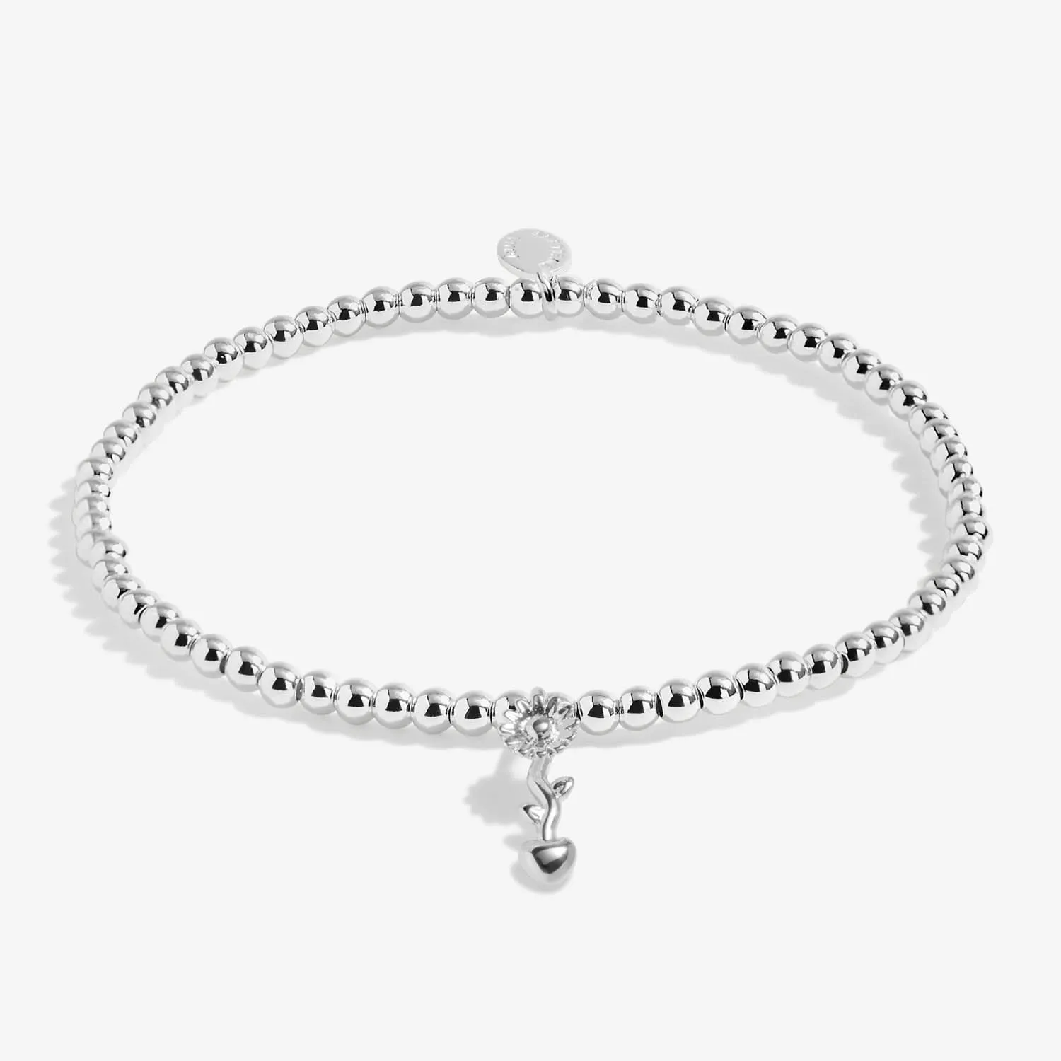 A Little Teachers Plant Seeds that Grow Forever Silver Plated Bracelet 8147 Joma Jewellery