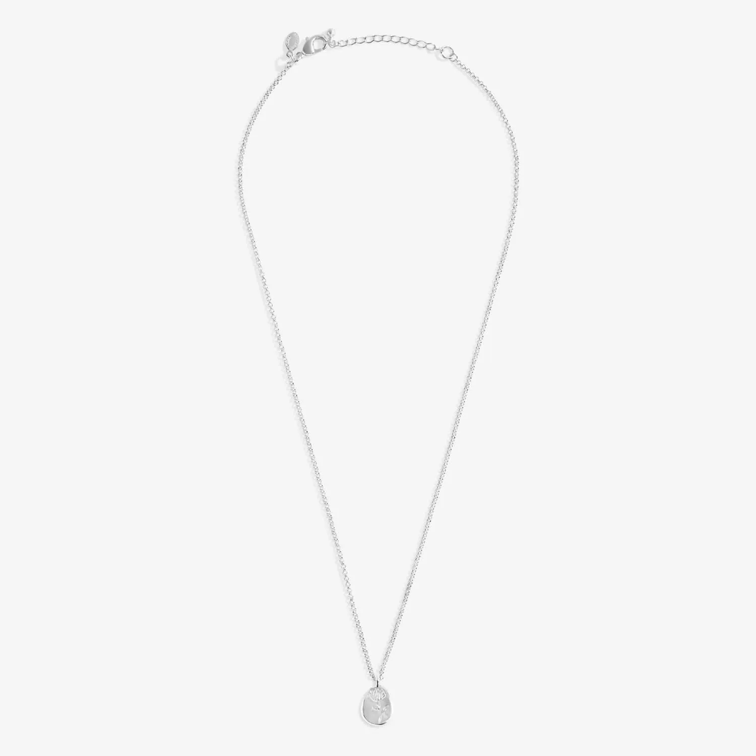 Birth Flower A Little September Aster Silver Plated Necklace 7467 Joma Jewellery
