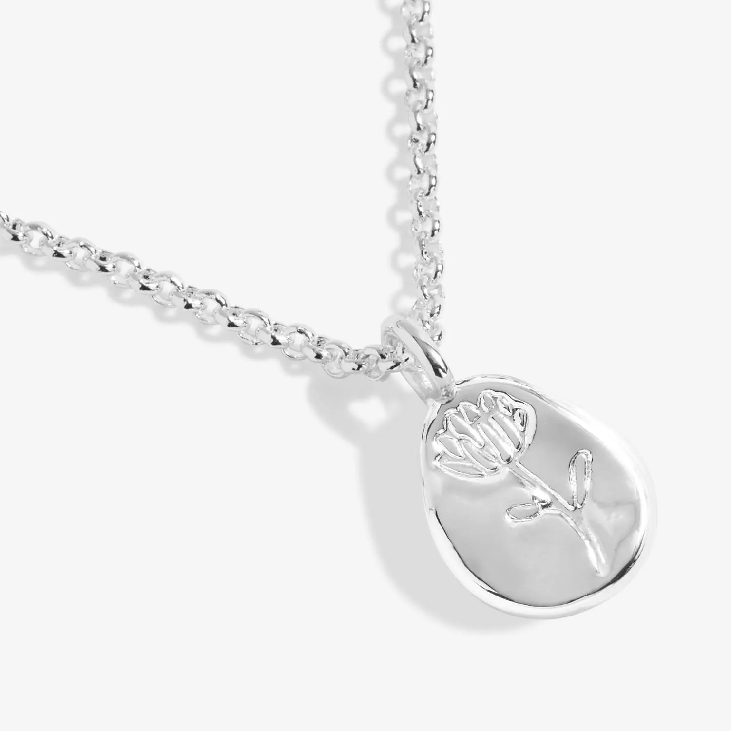 Birth Flower A Little September Aster Silver Plated Necklace 7467 Joma Jewellery