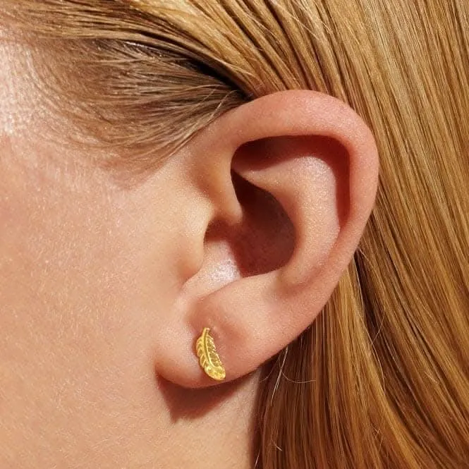 Mini Charms Feather Gold Plated Earrings 7057 Joma Jewellery