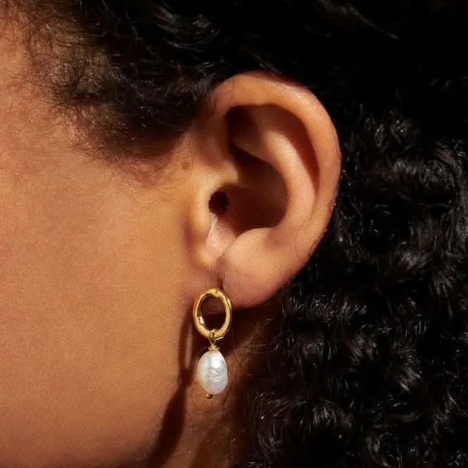 Solaria Baroque Pearl Loop Gold Plated Hoop Earrings 7162 Joma Jewellery
