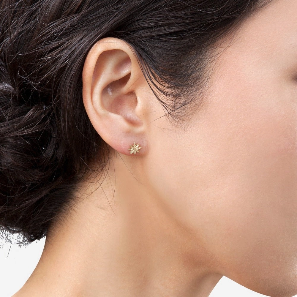 Star Earrings