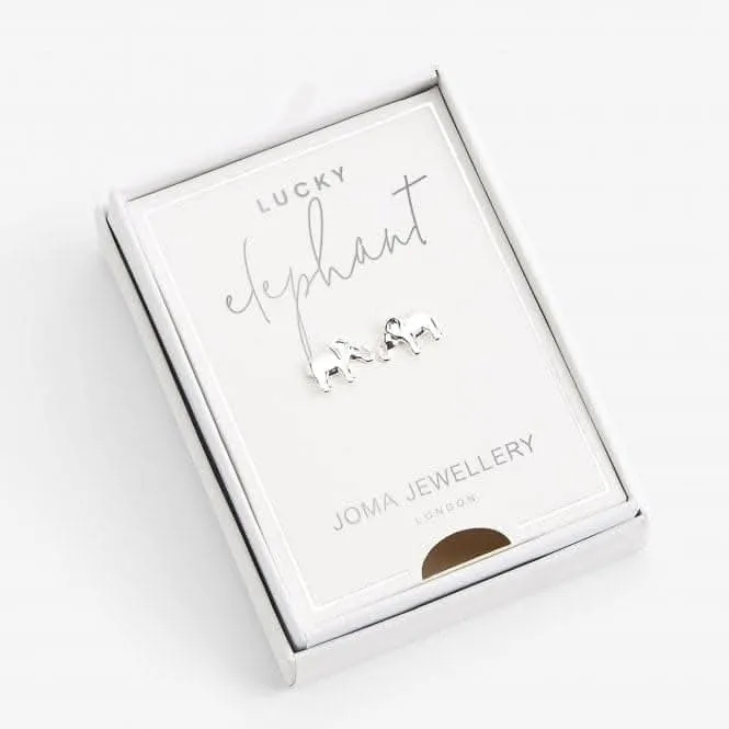 Treasure The Little Things Lucky Elephant 5003 Joma Jewellery