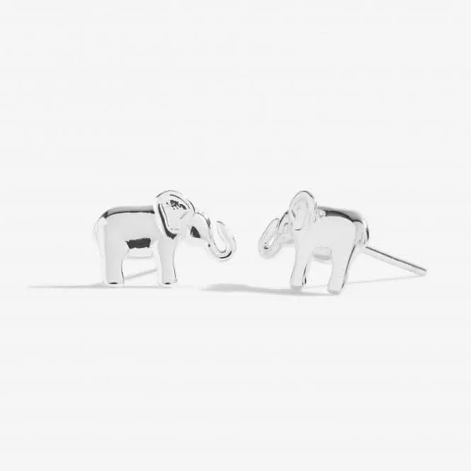 Treasure The Little Things Lucky Elephant 5003 Joma Jewellery
