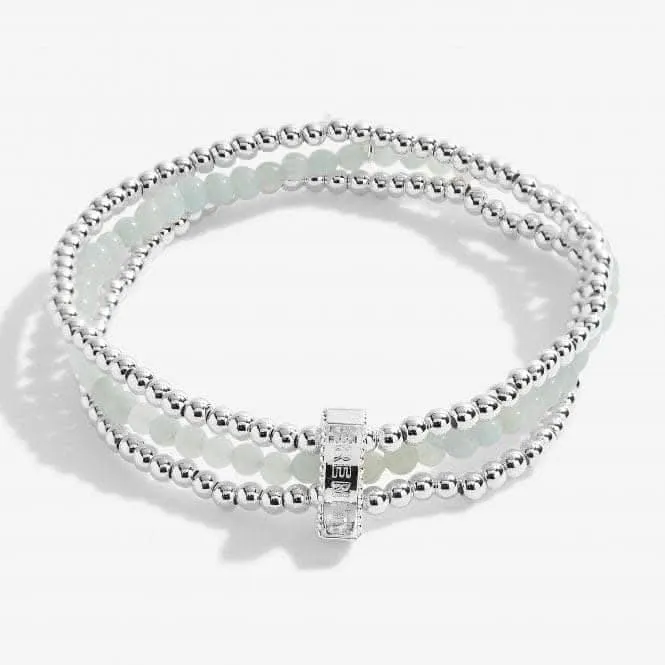 Wellness Stones Amazonite Bracelet 5073 Joma Jewellery